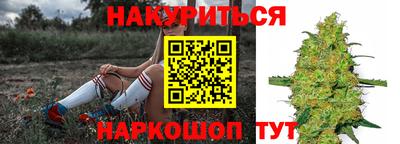 каннабис Камышлов