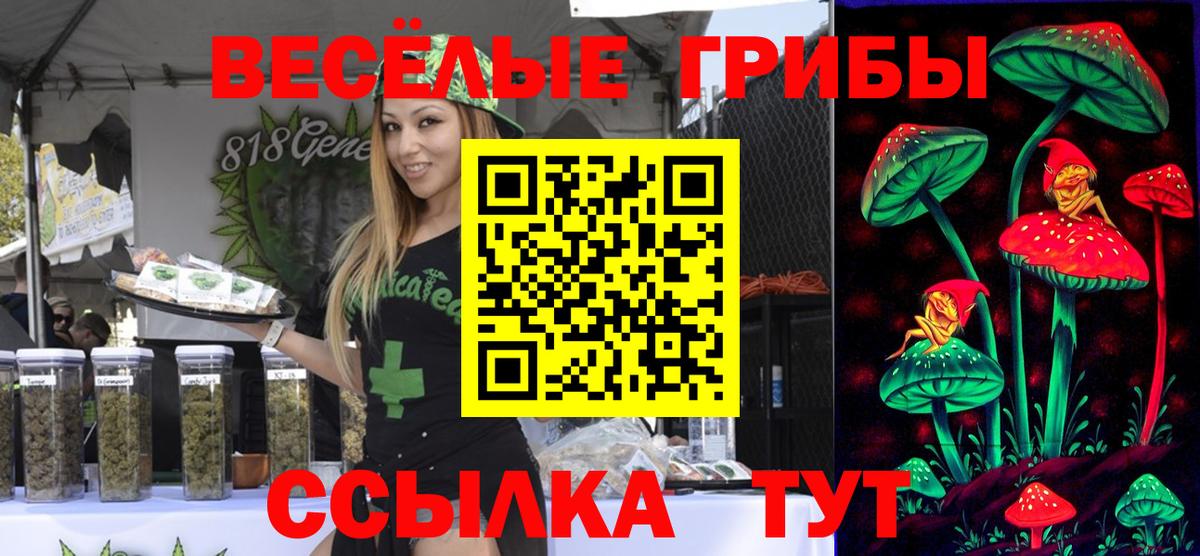 Галлюциногенные грибы Magic Shrooms  Псилоцибиновые грибы ЛСД  наркота  Канск  Вход с VPN 